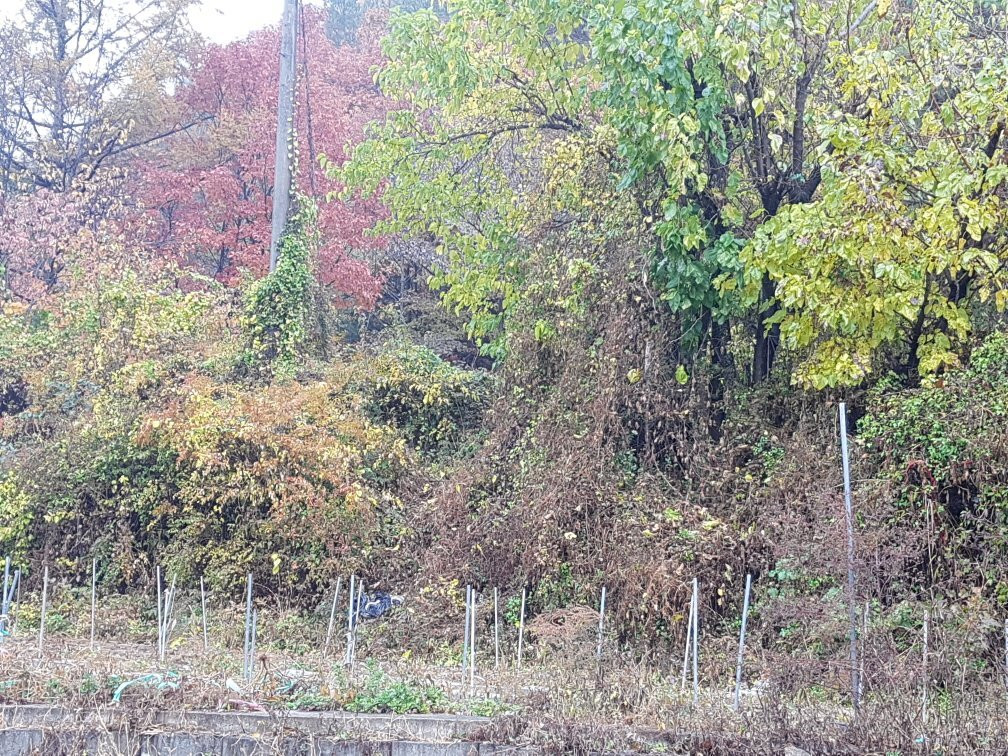 Sudo Valley-金泉市必去景点