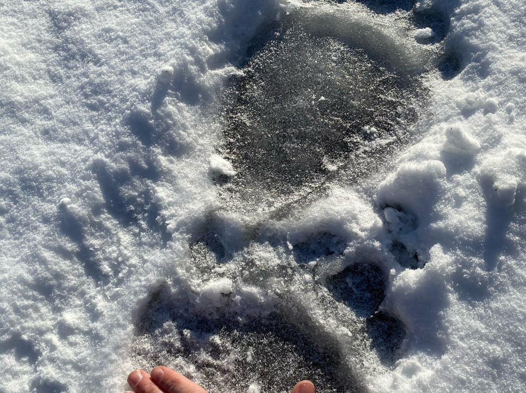 A Channel View Bed and Breakfast主图