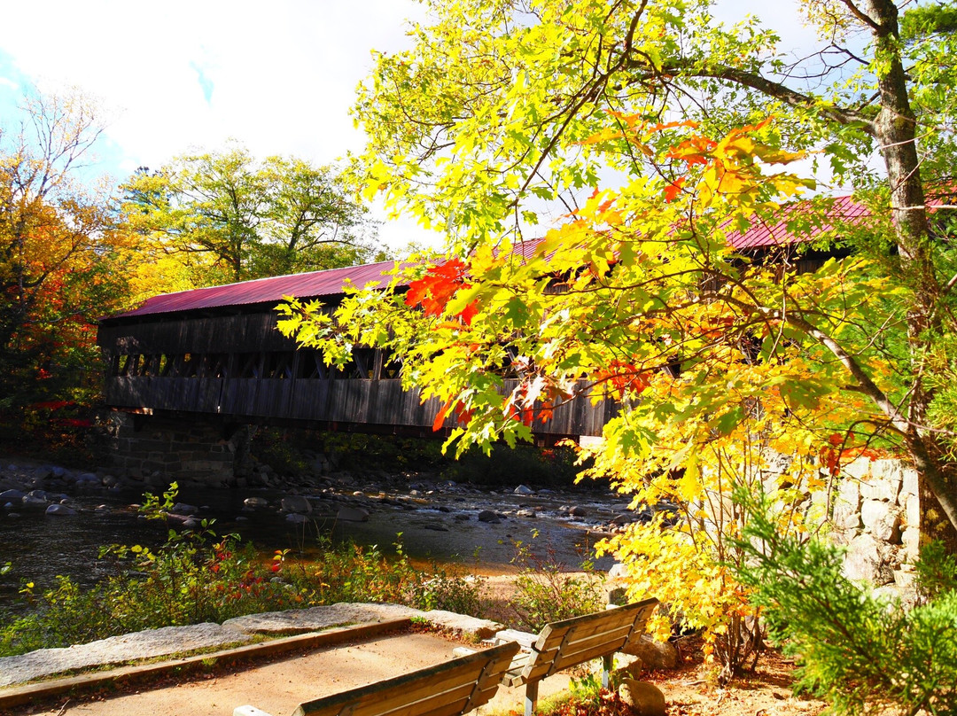 Albany Covered Bridge-Albany必去景点