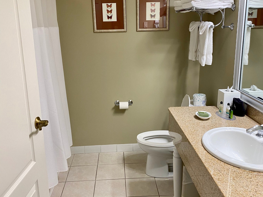 巴尔港大酒店主图