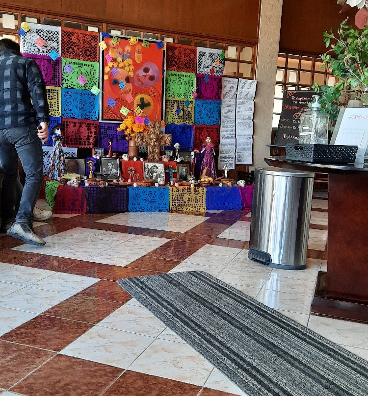 Hotel del Parque主图