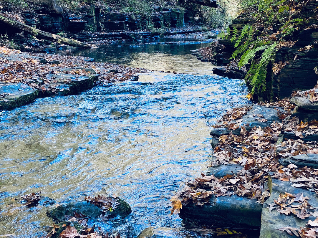Short Springs Natural Area景点图片