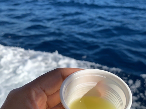 SalBoat-索伦托必去景点