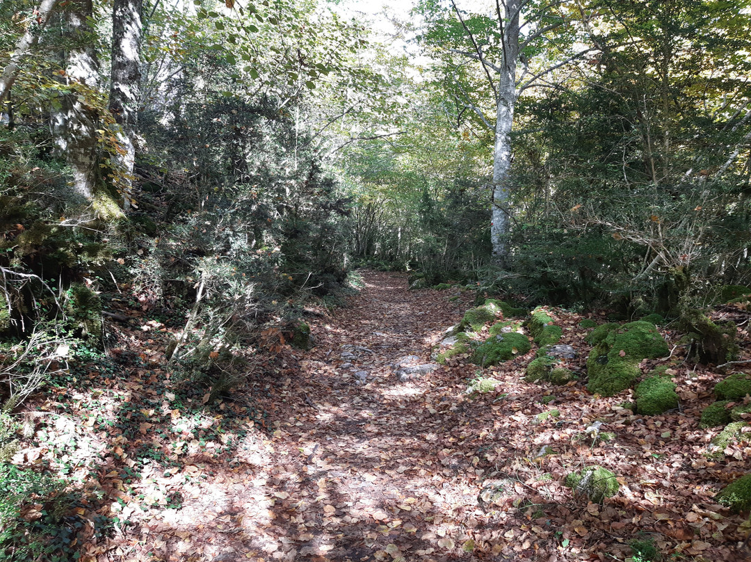 Cascada de Belabarze-Isaba必去景点