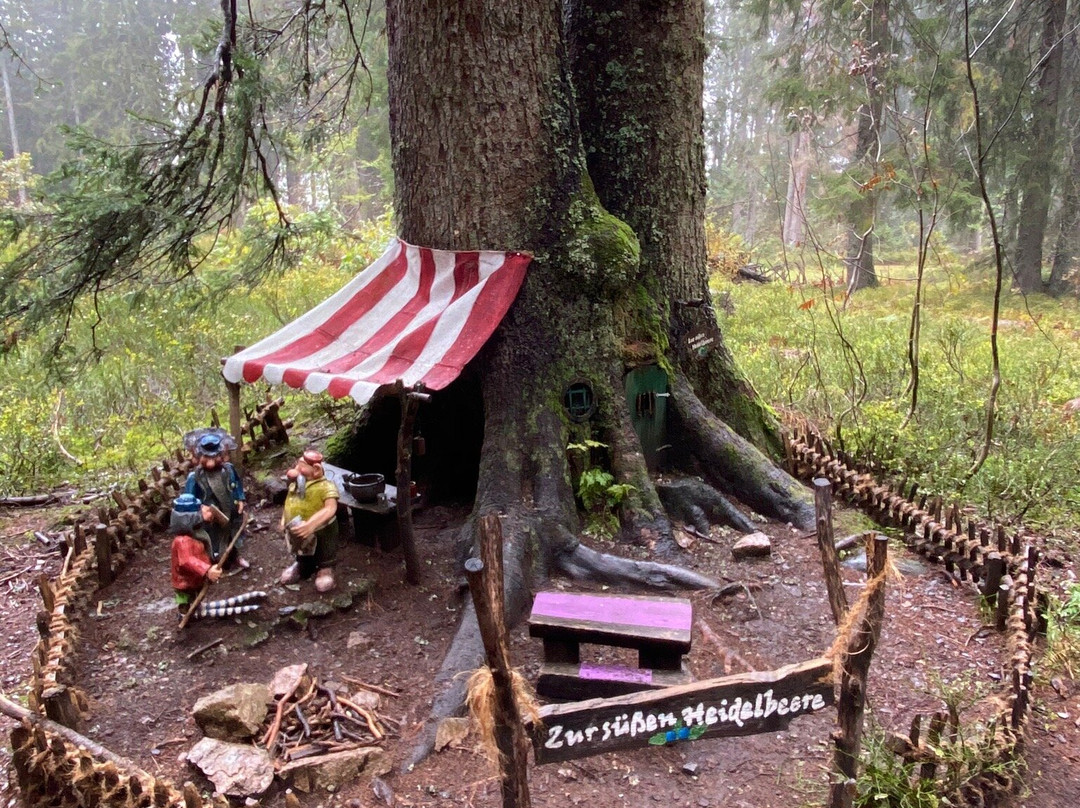 The Little Folk's Trail-菲尔德山必去景点