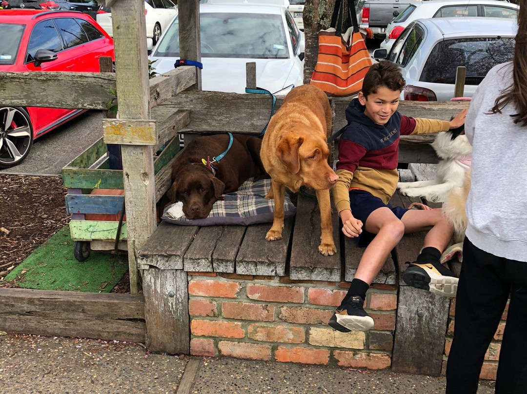 Matakana Village Farmers' Market-马塔卡纳小镇必去景点