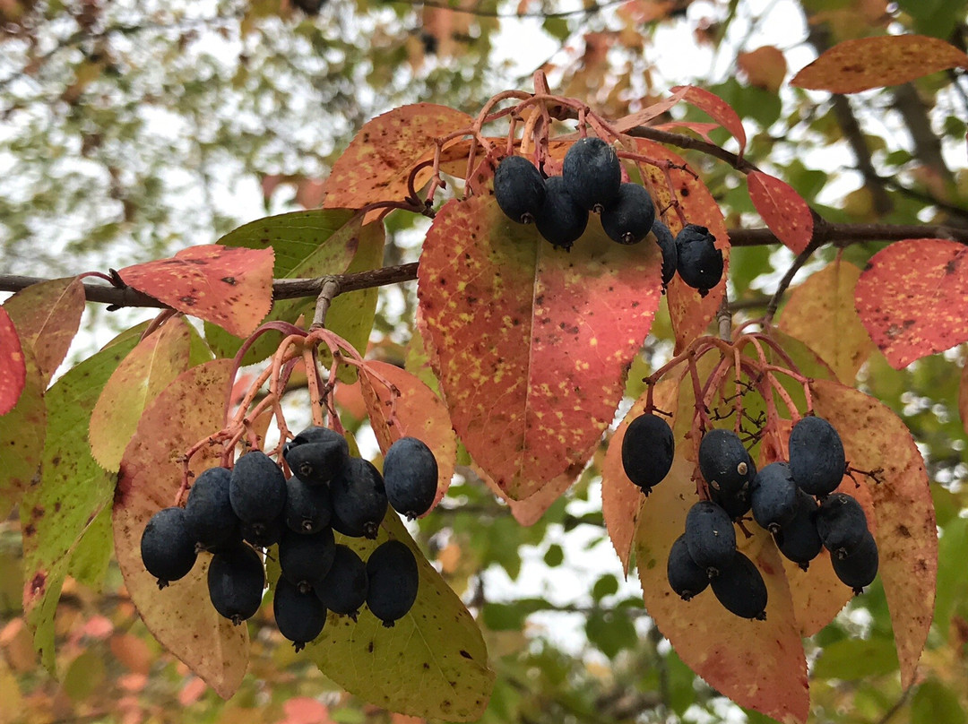Red Hills State Park-Sumner必去景点