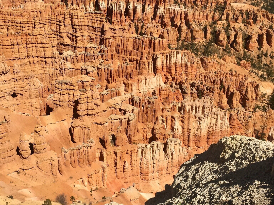 The Bullberry Inn主图