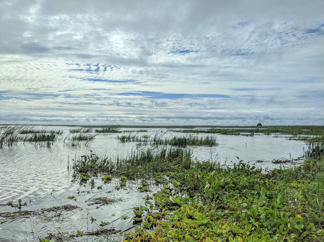 Okeechobee Airboat Charters-Moore Haven必去景点