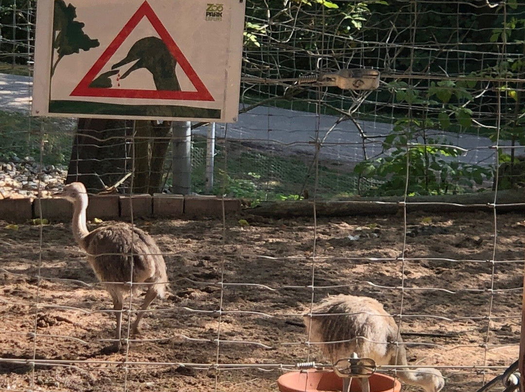 Zoopark Erfurt-爱尔福特必去景点