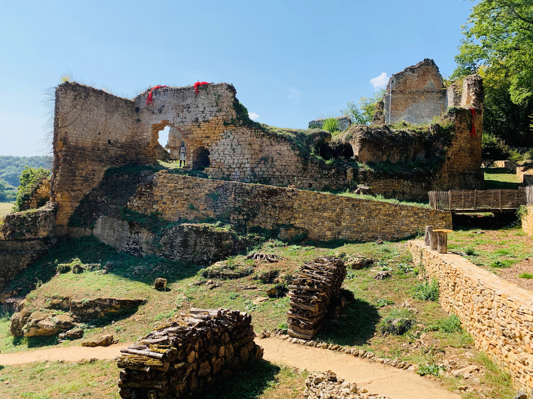 Village Troglodytique de la Madeleine景点图片