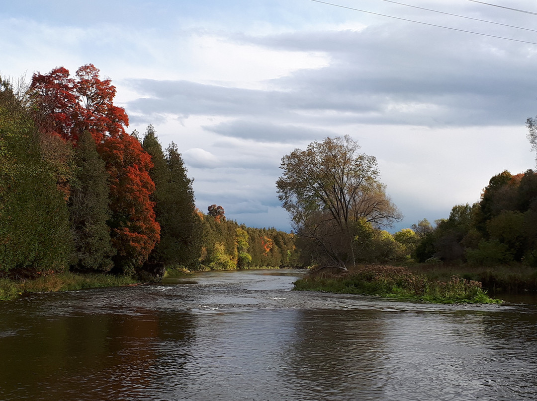 Elora Gorge Conservation Area-伊劳拉必去景点