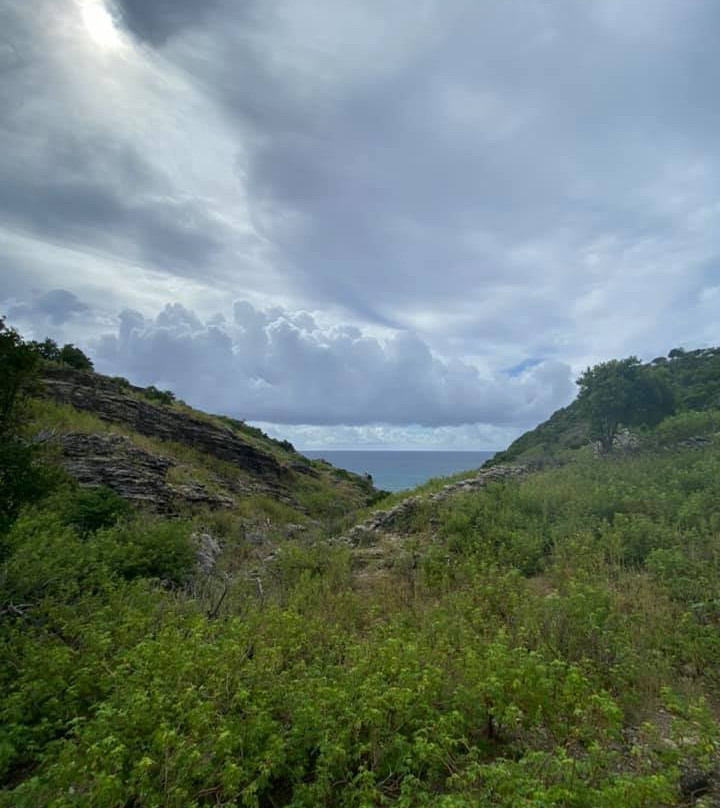 BODY+SOUL St Barth-居斯塔维亚必去景点