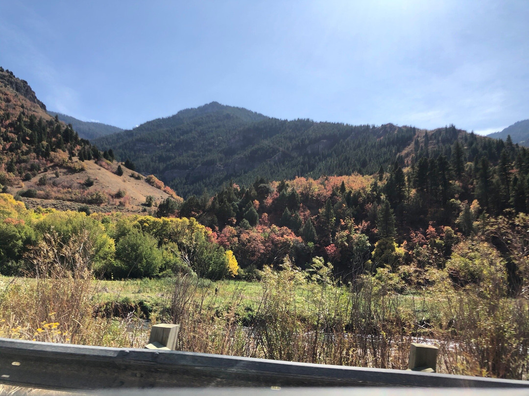 Logan Canyon Scenic Drive-洛根必去景点