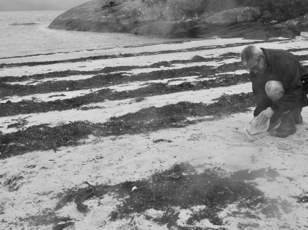 Ardtoe Beach-Acharacle必去景点