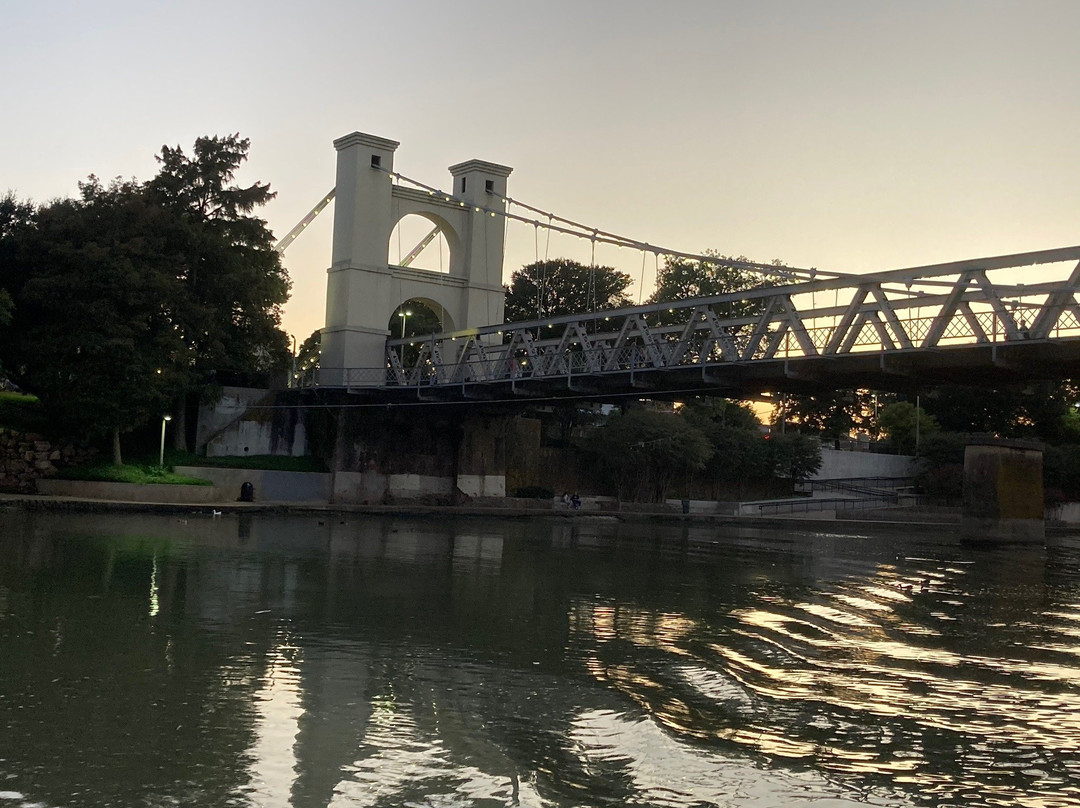 Waco River Safari景点图片