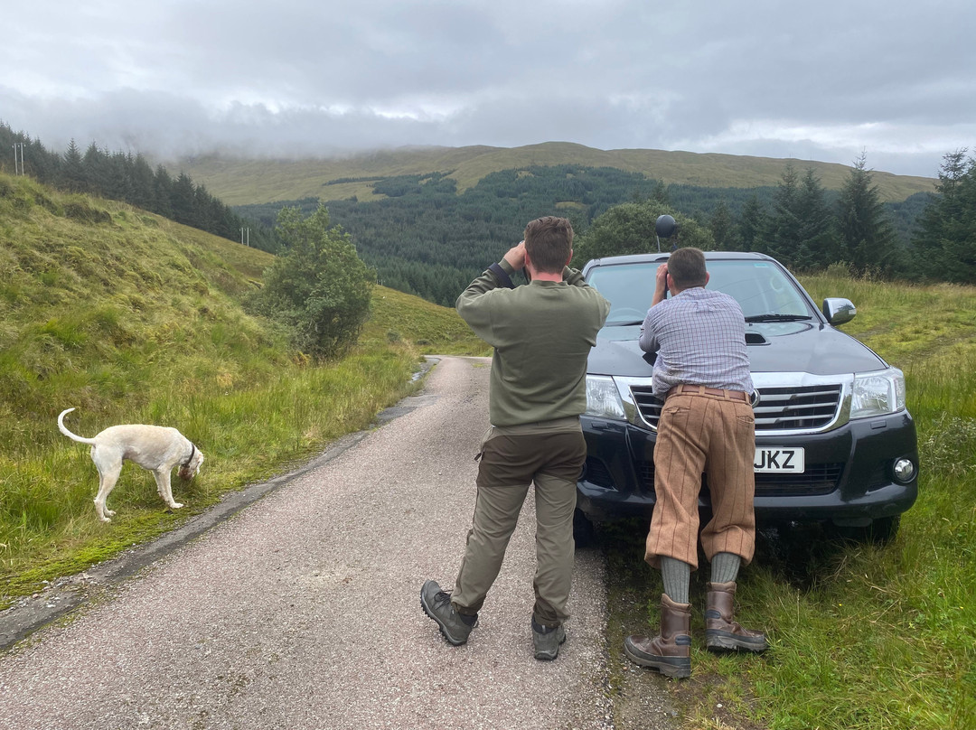 West Highland Wildlife Tours-阿盖尔比特必去景点