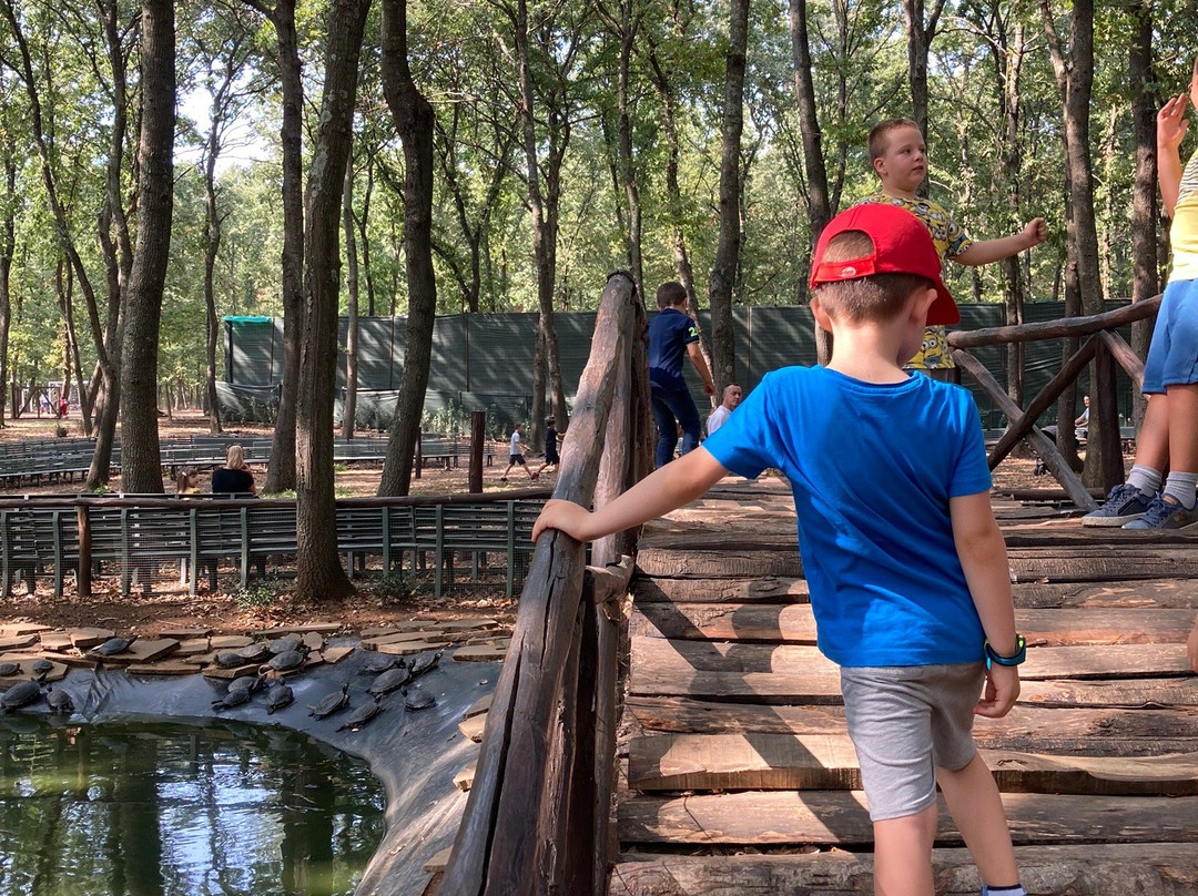 Parco Natura La Selvotta景点图片