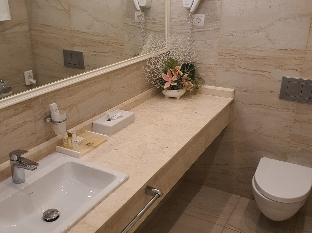 Grand Hotel Zvezda主图