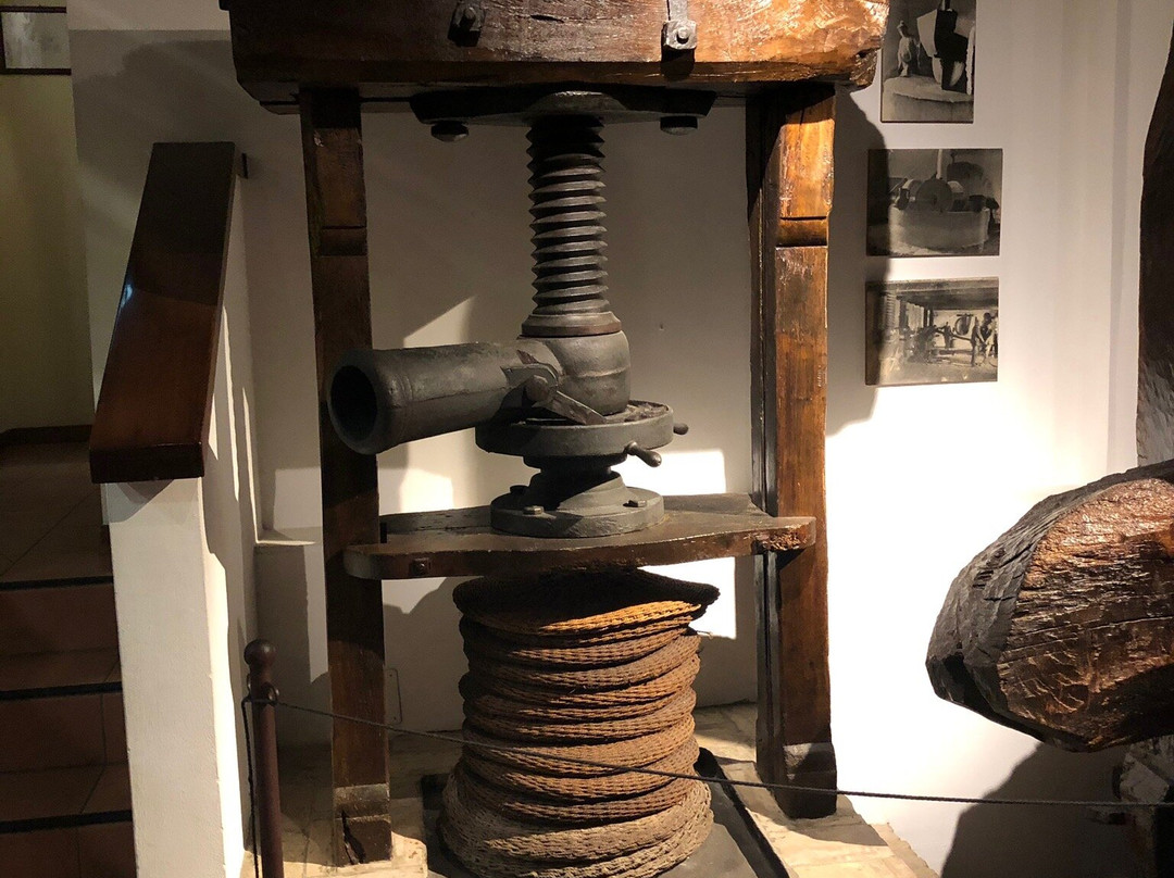 Museo Dell'olio D'oliva景点图片