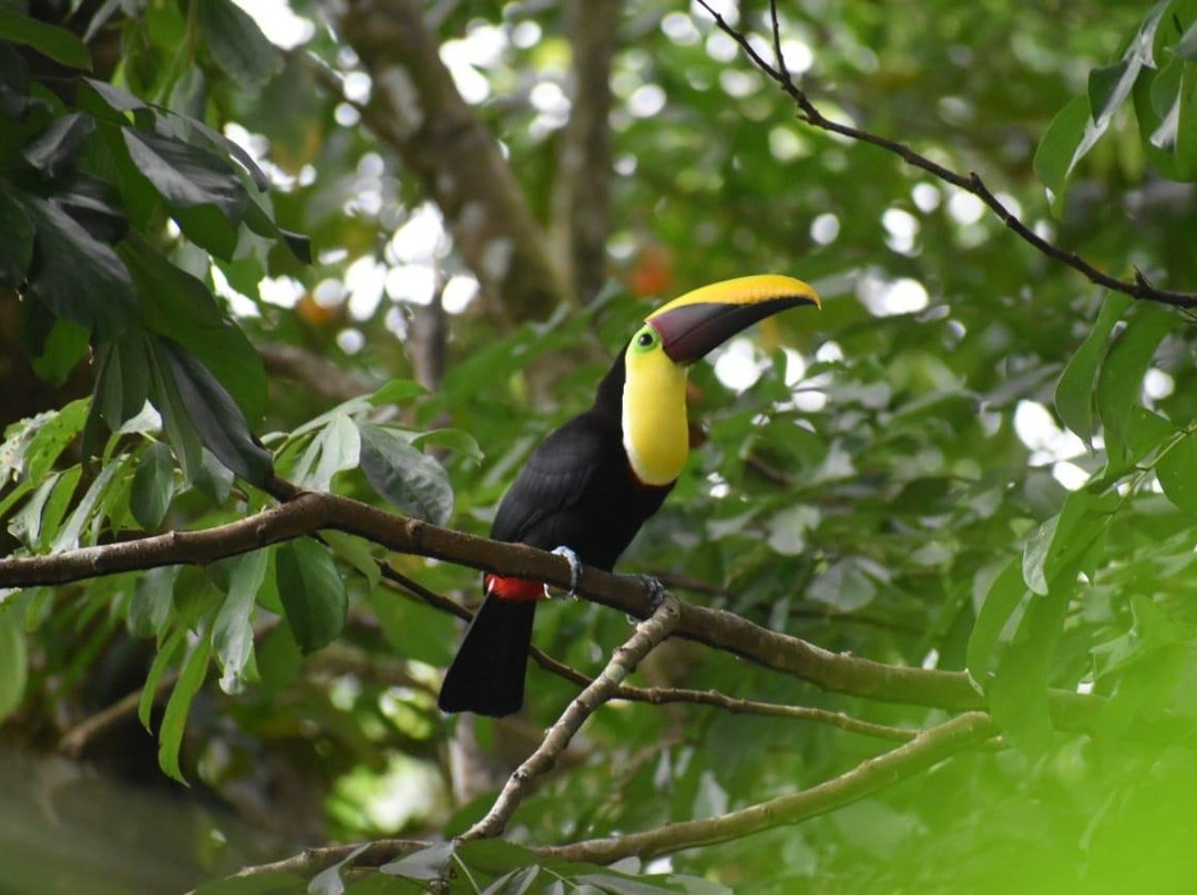 Costa Rica Luxury Concierge