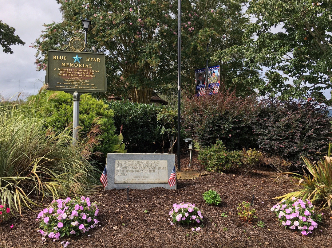 Hiawassee Town Square