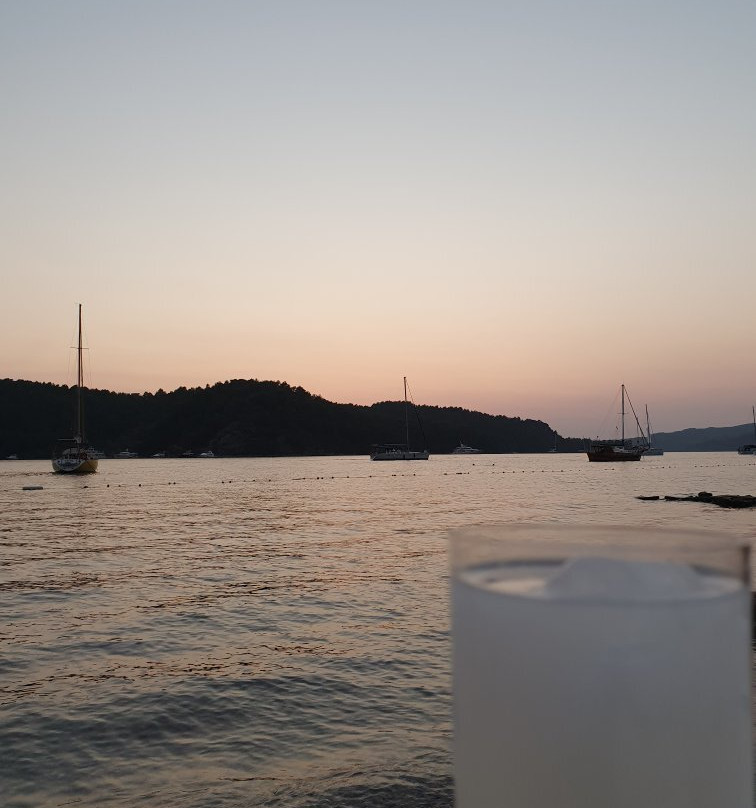 Sakin Vadi Winehouse主图