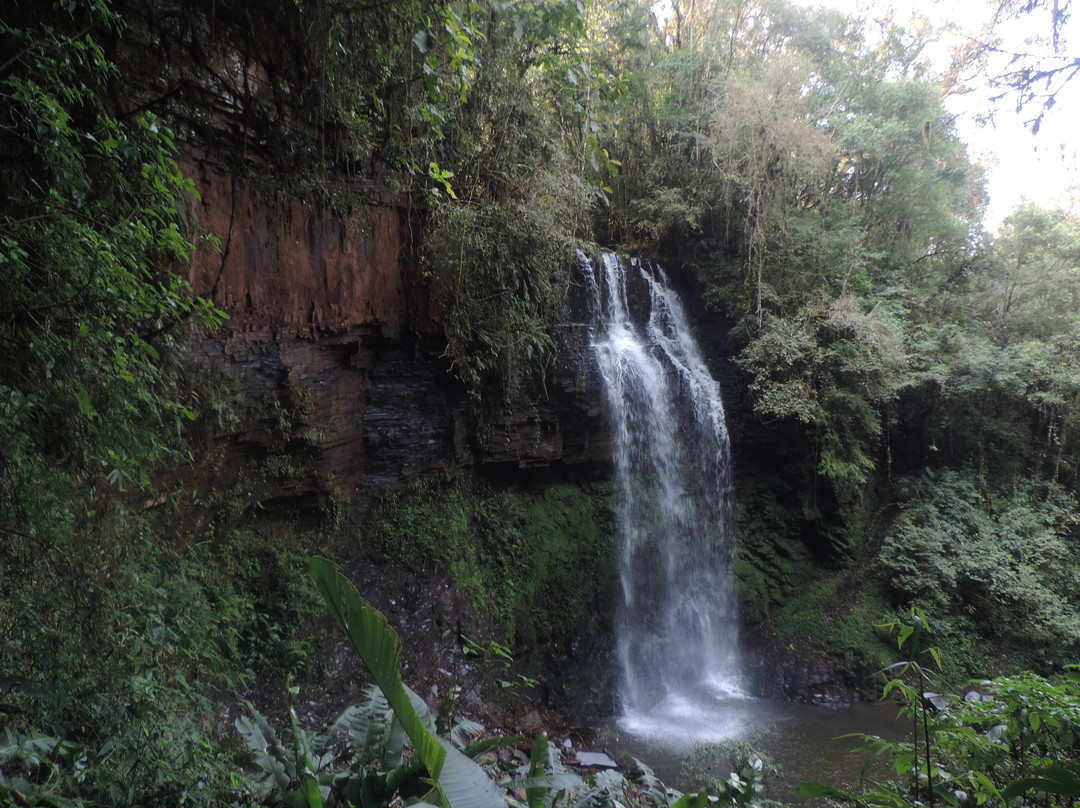 Cachoeira Das Andorinhas景点图片