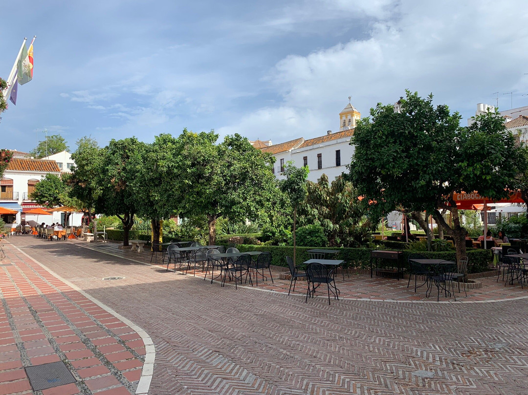 Ayuntamiento City Hall景点图片