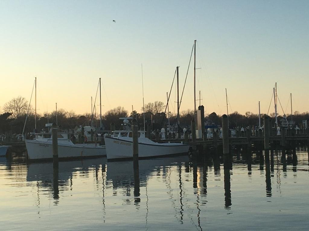 Choptank River Lighthouse景点图片