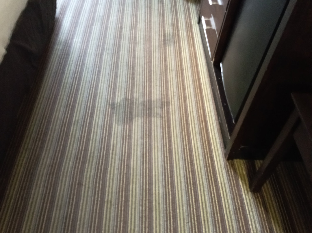 Quality Inn Kenly I-95主图