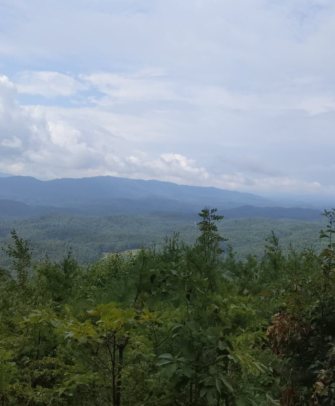 Smoky Mountain Adventure Tours景点图片