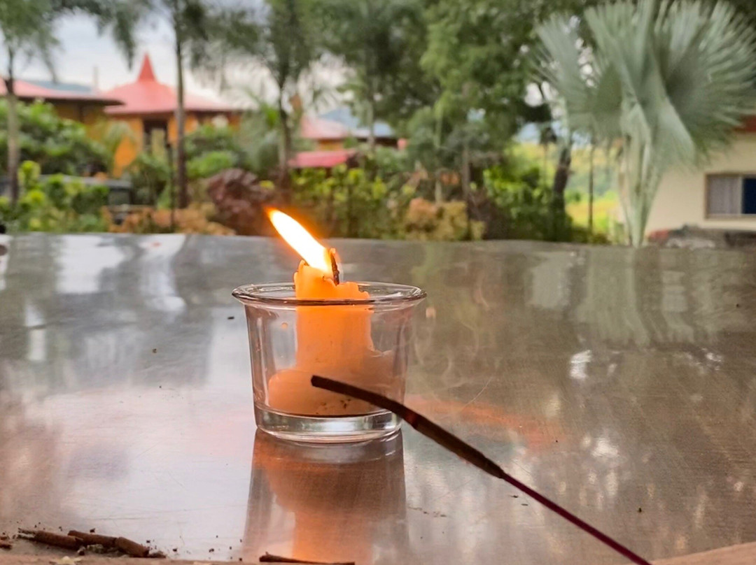Satyadhara Yogalife Ashram India景点图片