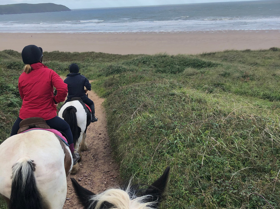 Mullacott Equestrian Centre景点图片