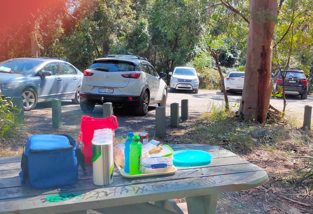 Kellys Falls Track-海伦斯堡必去景点