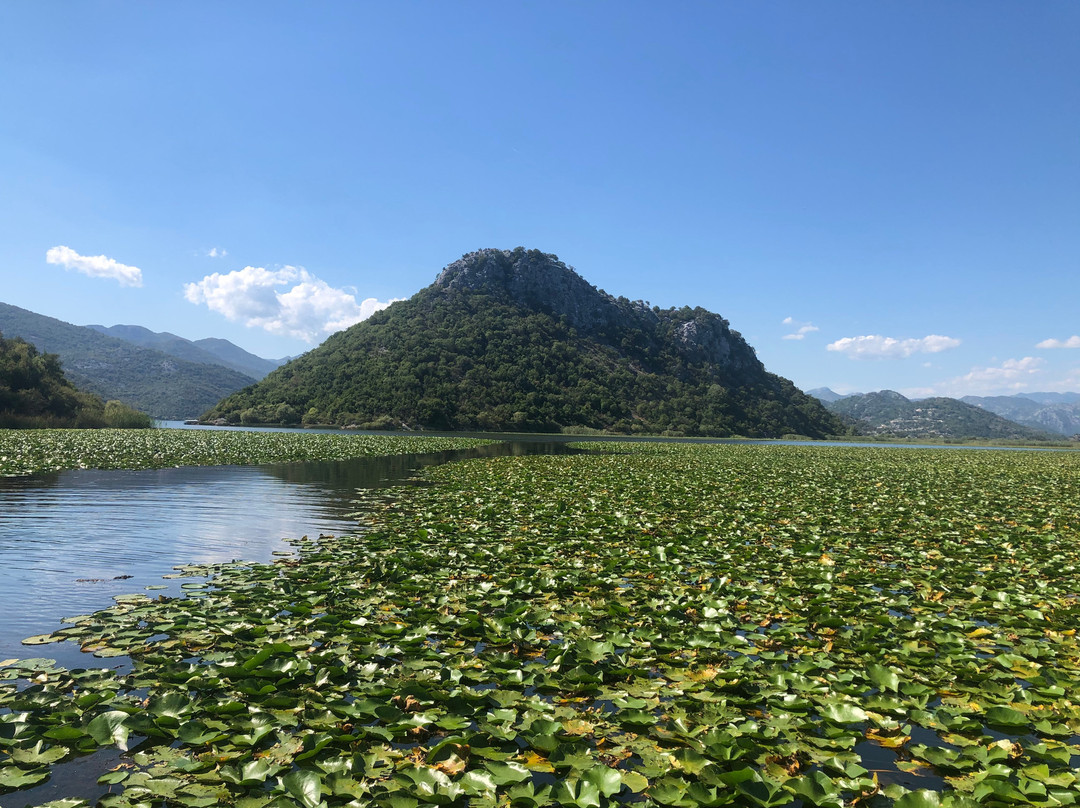 Zabes Holidays Boats景点图片