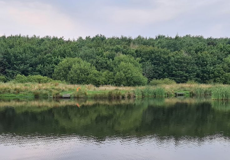 Balmule Fishery-丹弗姆林必去景点