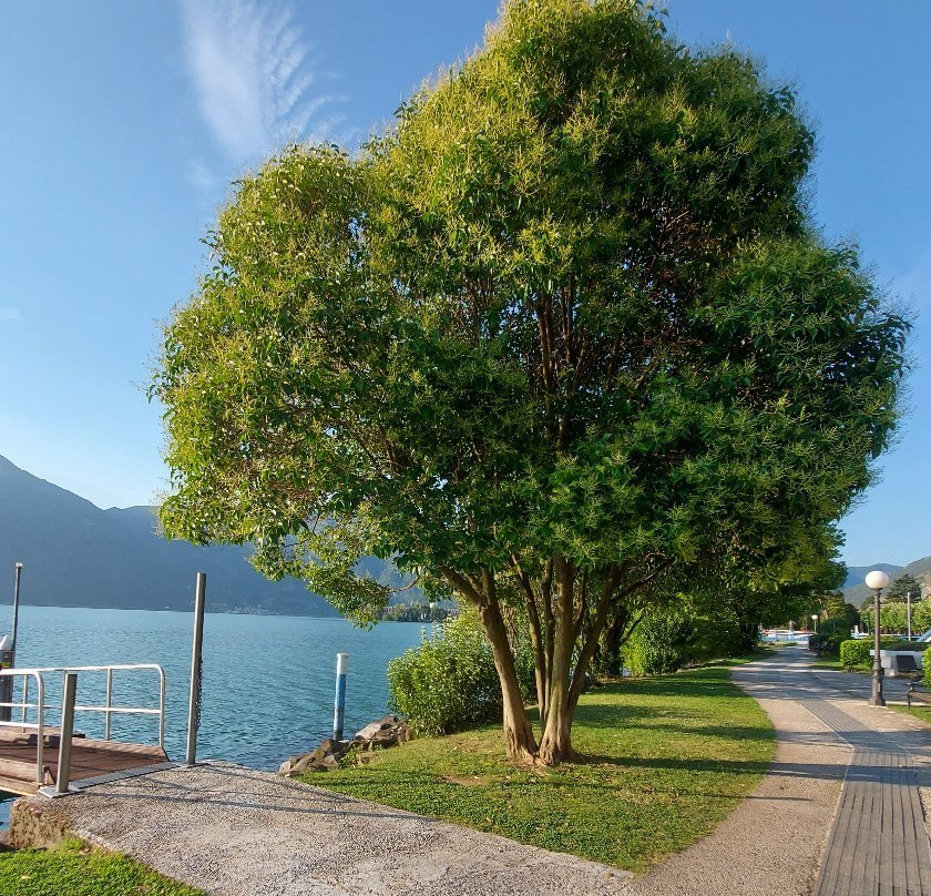 Parco Marinai D'Italia景点图片