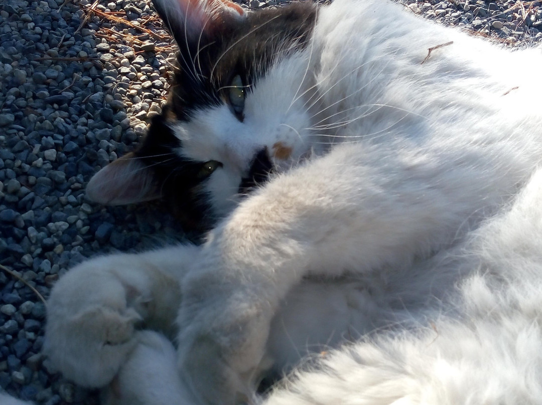 佛拉勒里厄酒店主图