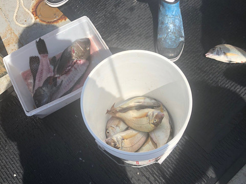 Patriot Party Boats-法尔茅斯必去景点