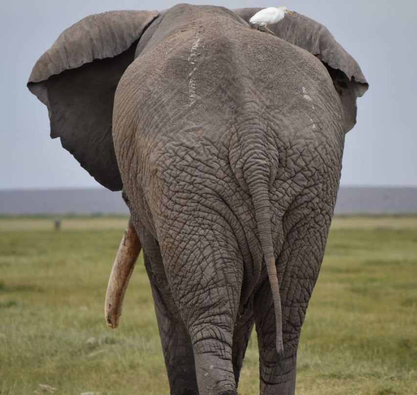 African Guide-瓦塔木必去景点