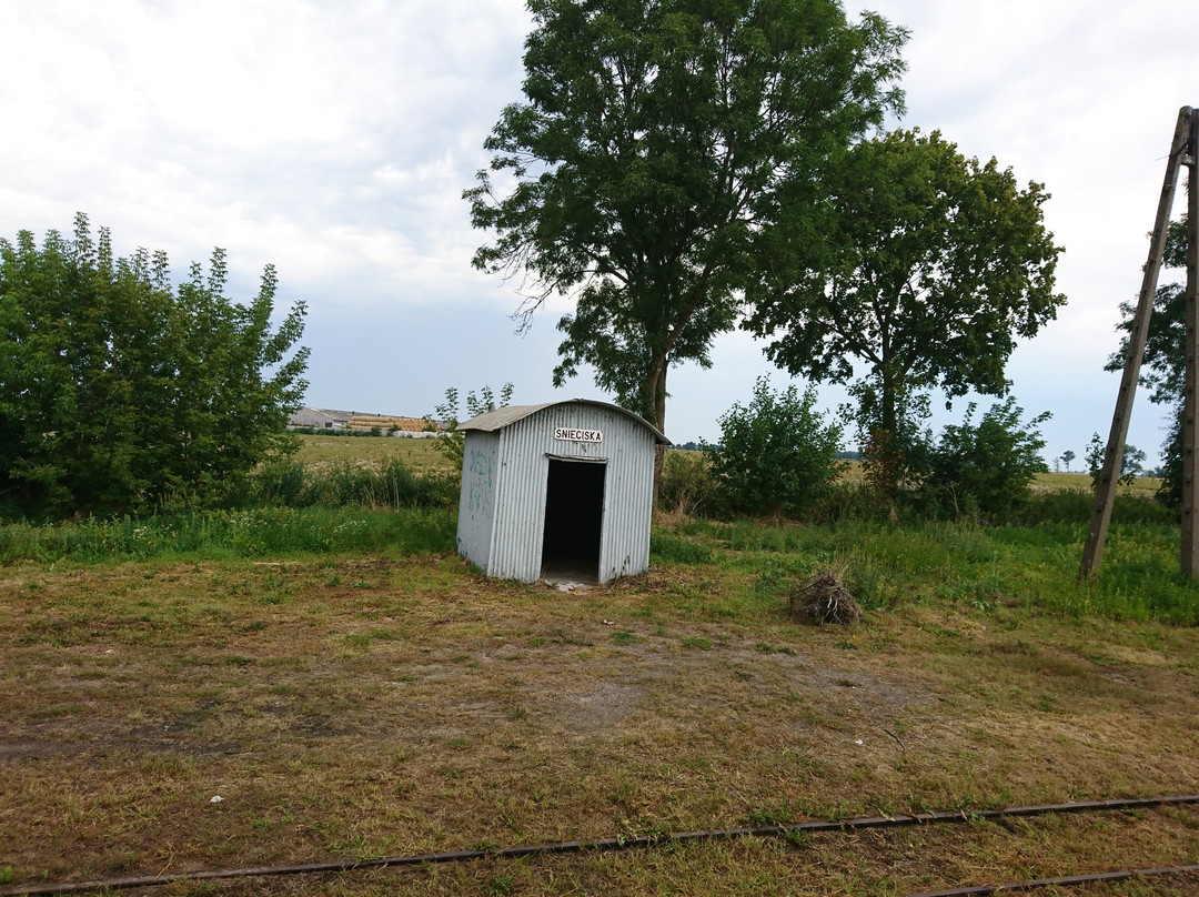 Sroda County Railroad (Narrow Gauge)景点图片