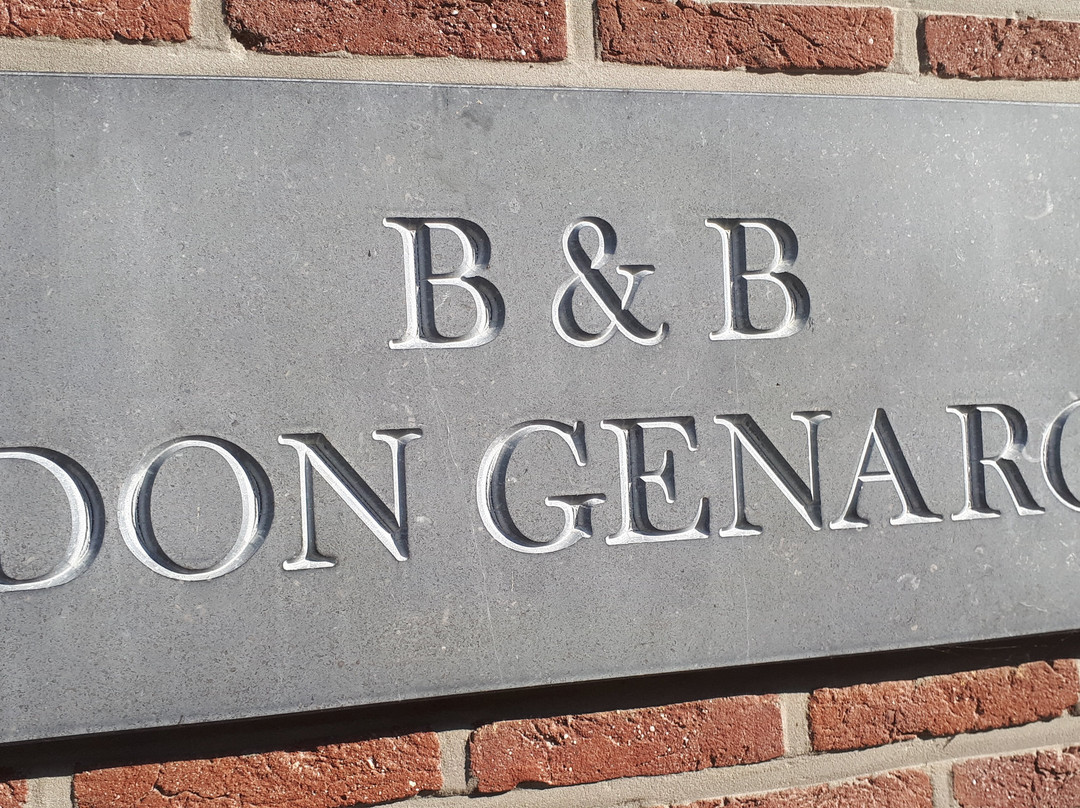 B&B Don Genaro主图