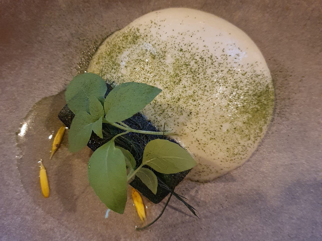 Wielsbeke旅游攻略图片