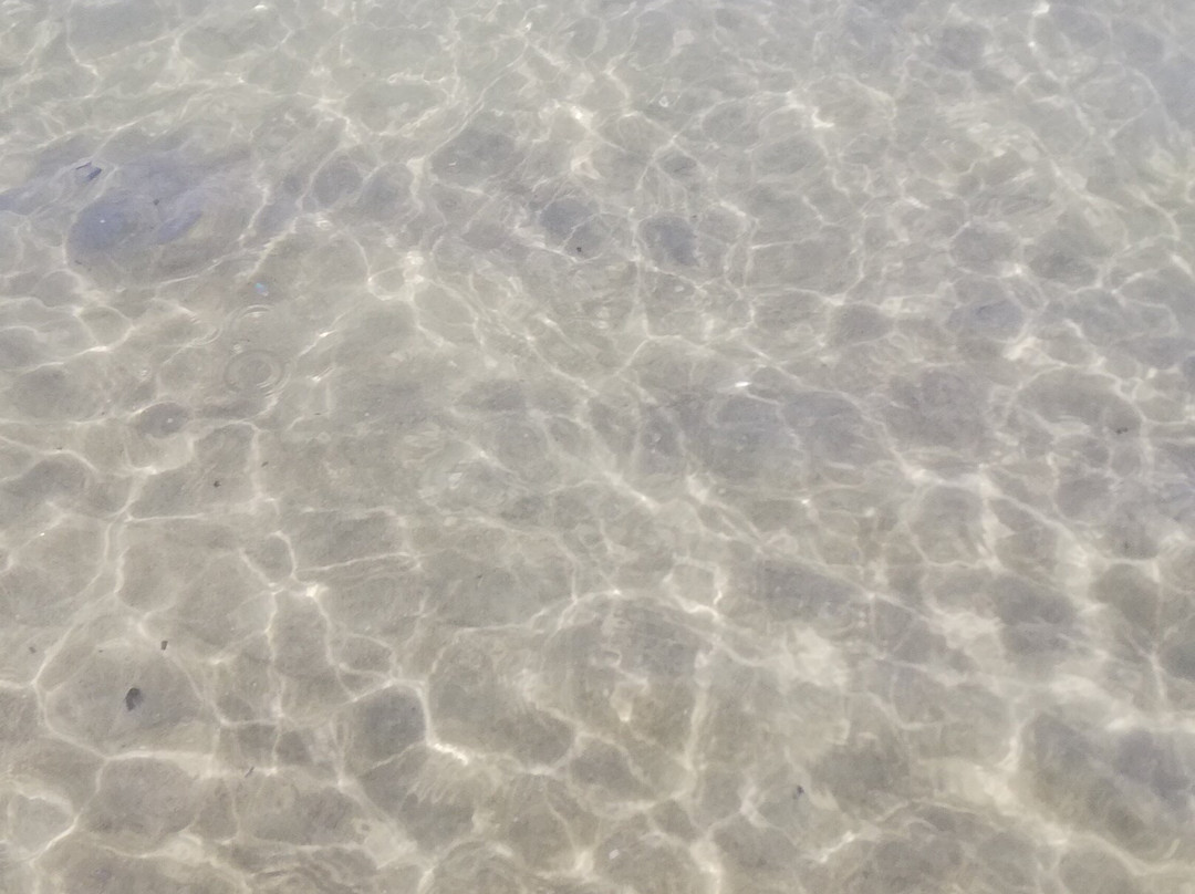 Lido Delle Sirene景点图片