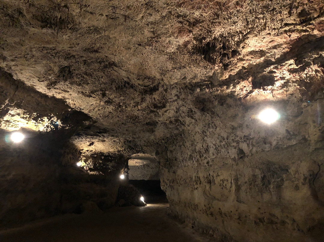 Grotte de Rouffignac景点图片