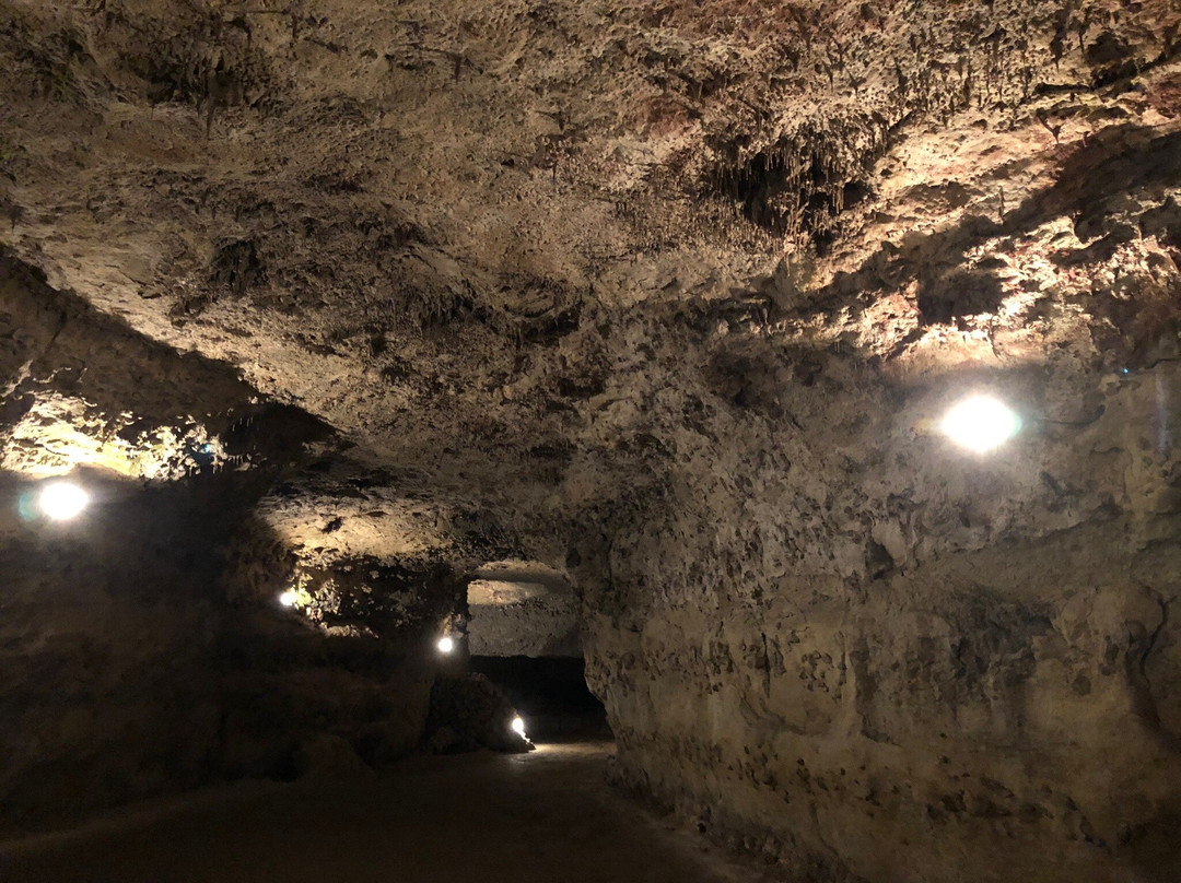 Rouffignac Cave景点图片