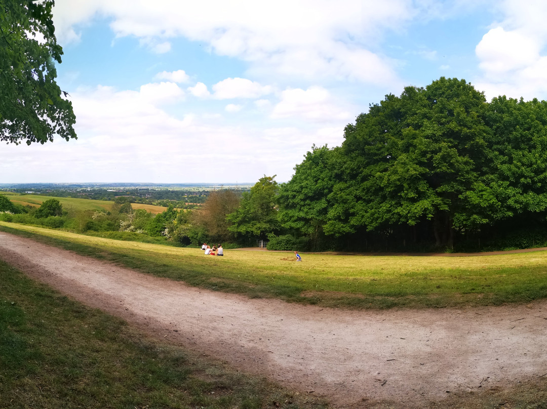 Hartshill Hayes Country Park-纽尼顿必去景点