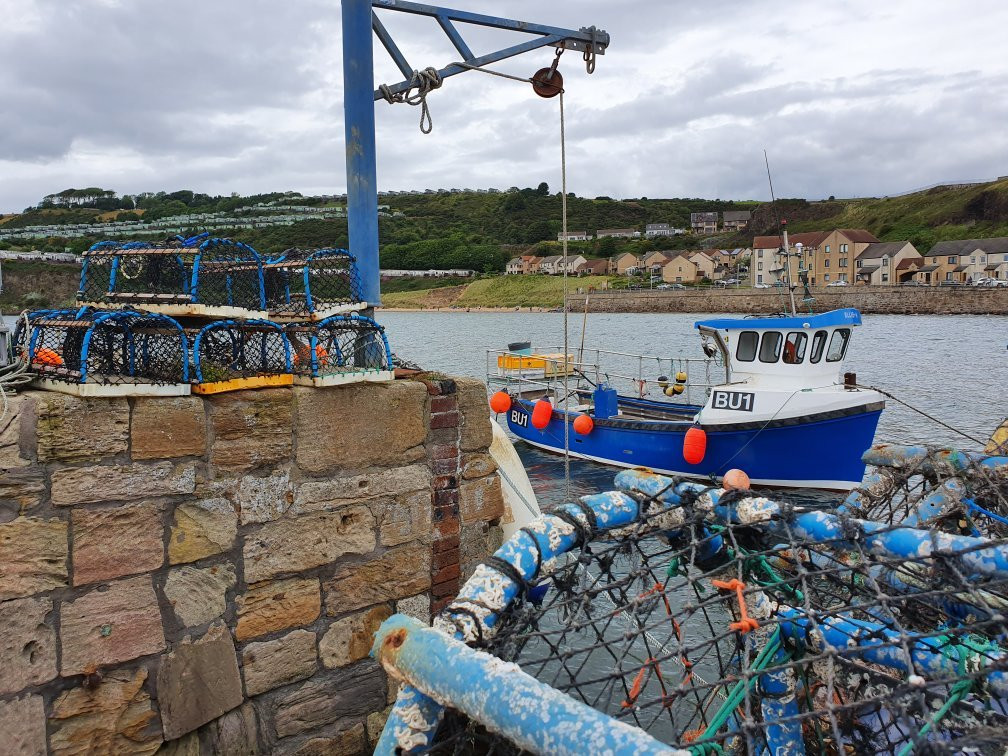 Pettycur Harbour-Kinghorn必去景点