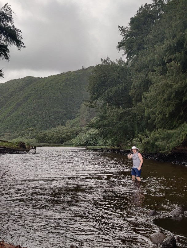 Pololu Valley景点图片